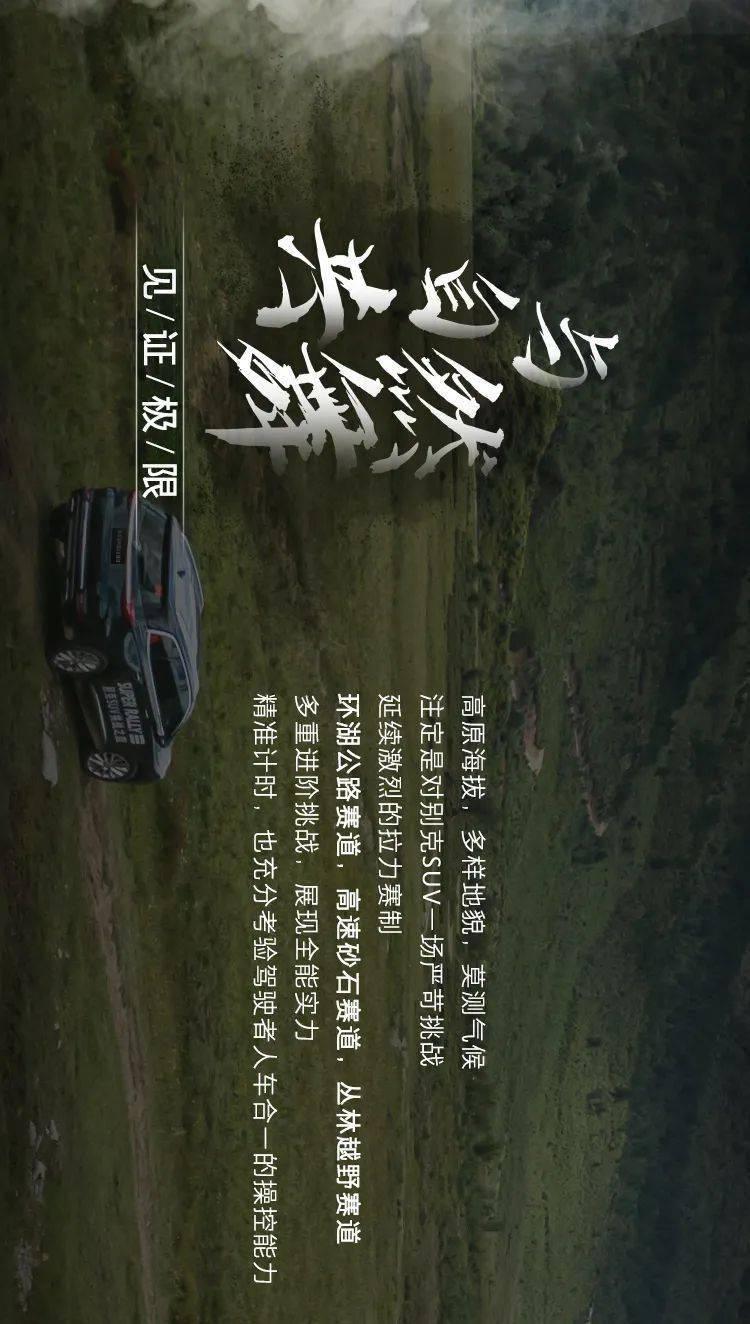 寻找萌宠松鼠
