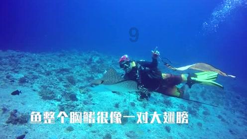 矮人国之战3中文无敌版