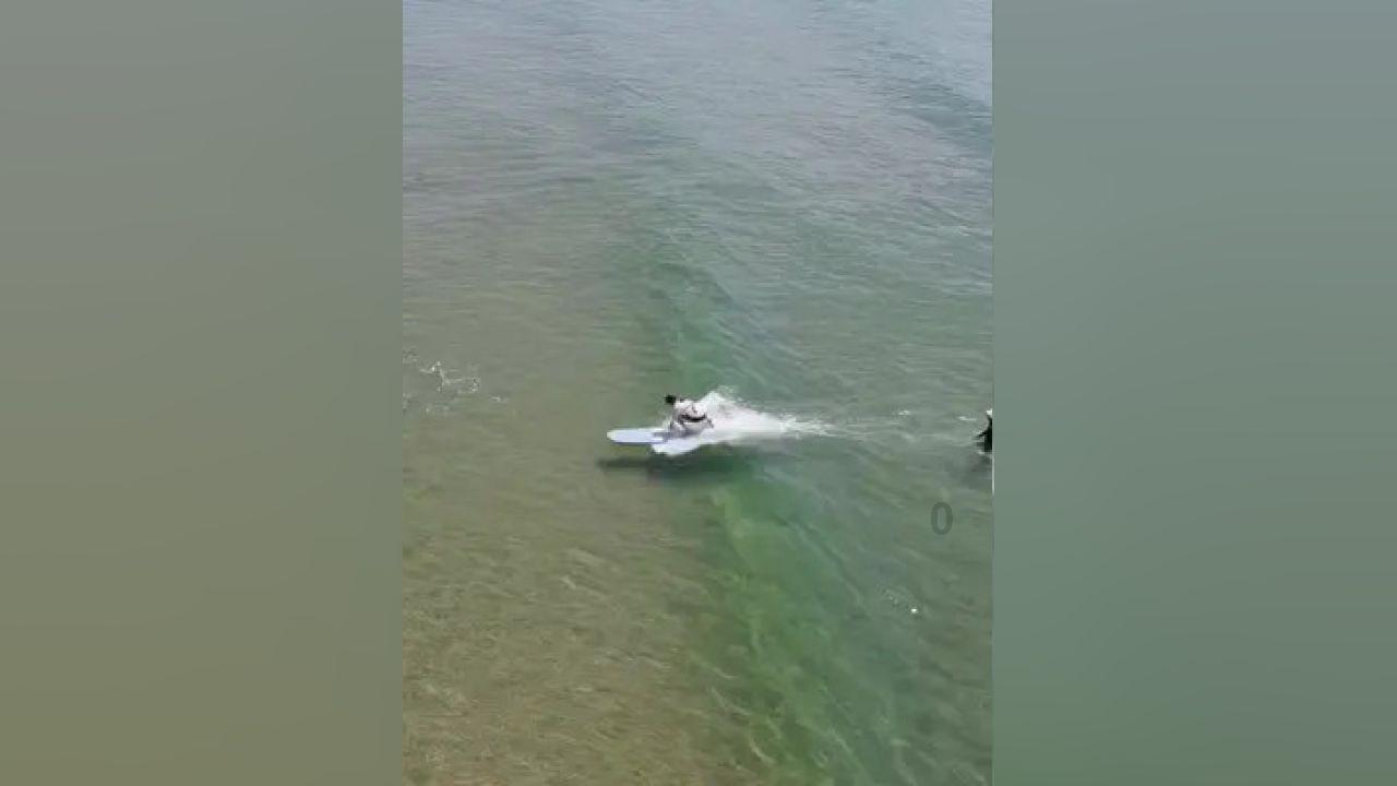 终结将至