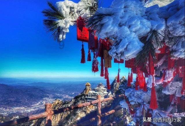 小猫钓鱼游戏龙王版有船